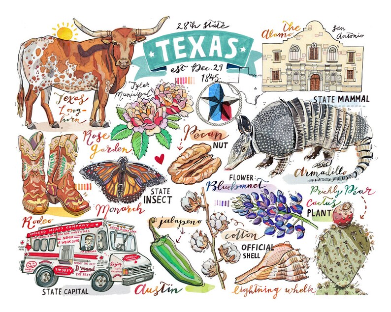 Texas Print illustration state symbols the Lone Star State | Etsy