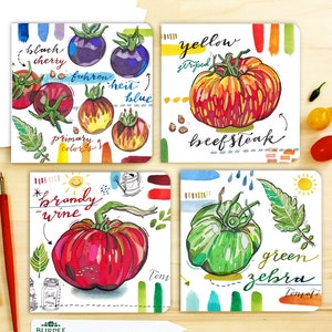cartes pour notes de tomates. Les saisons. Le printemps. L'été. Jardin. Héritage. Fruits. Jeu de 4 cartes vierges. Set d'écriture. Biologique. Terre. Grandir. Arc-en-ciel.