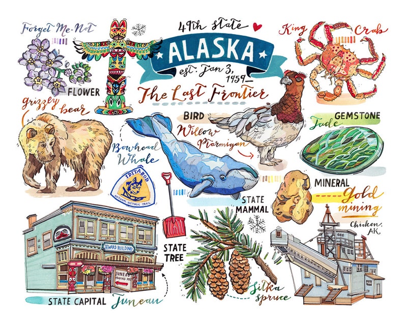 Alaska print. Illustration. Map. State symbols. Bird. Flower. Etsy