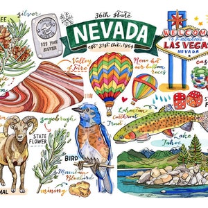Nevada State Print. State symbols. Illustration. State art. | Etsy