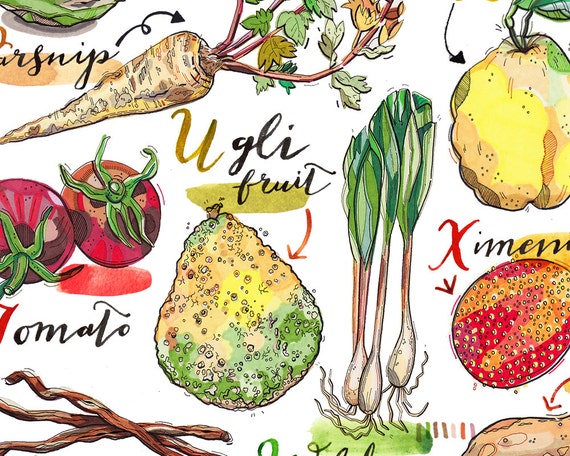 Produce Abecedary Print Fruit And Vegetable Alphabet By Alphabet Fruit