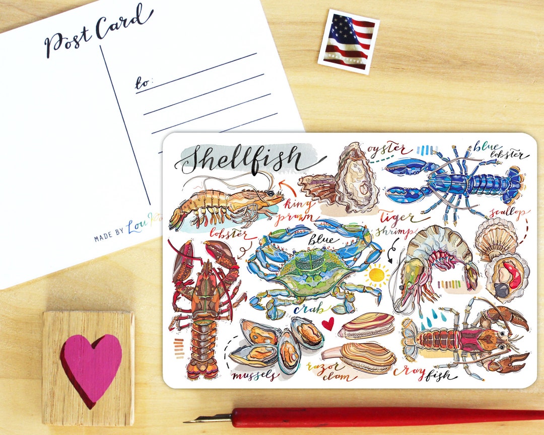 Shellfish Postcard. - Etsy