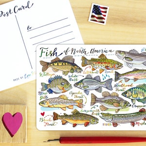 Fish postcard.