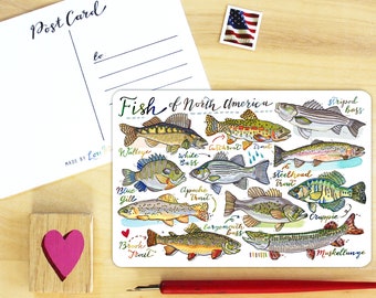 Fish postcard.