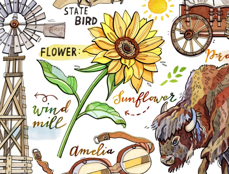 May include: A watercolor illustration of a sunflower, a windmill, a bison, a wagon wheel, and a pair of goggles. The text "State Bird", "Flower: Sunflower", "Windmill", and "Amelia" are also included in the image.