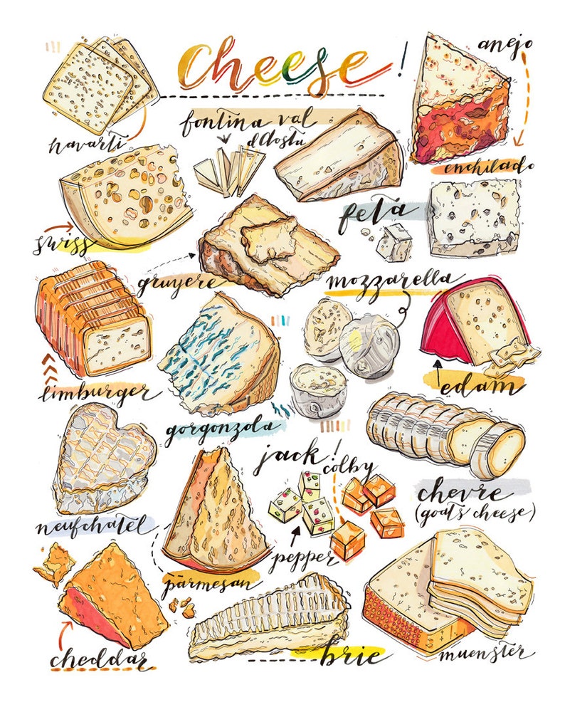 cheese print. illustration. Kitchen decor. Food art. gourmet. cheese lover. home decor. Fromage. Gift for cook. Artisanal. image 3