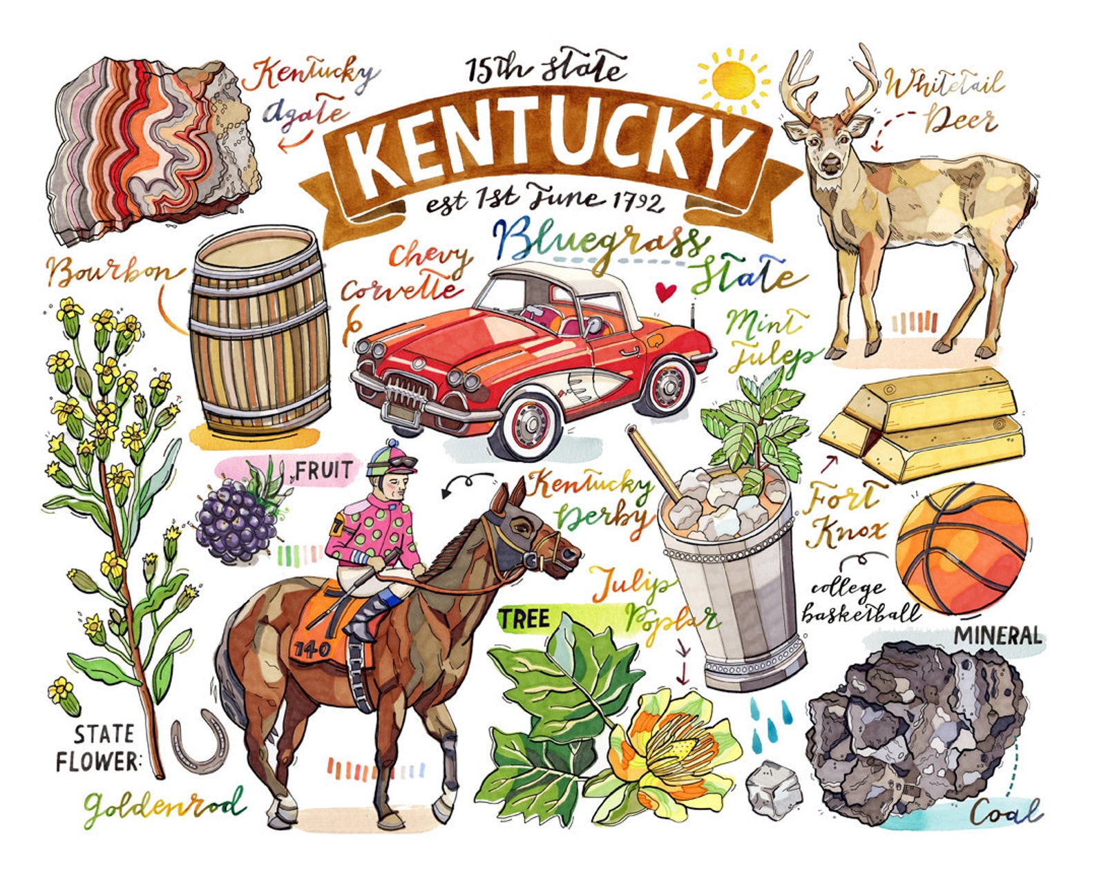Kentucky State Print Bluegrass State State Symbols Kentucky  Etsy