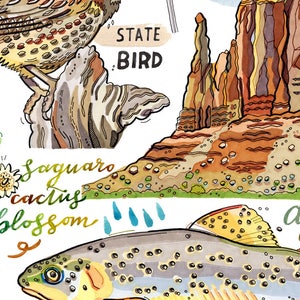 Arizona State Print, Illustration, State Symbols. image 5