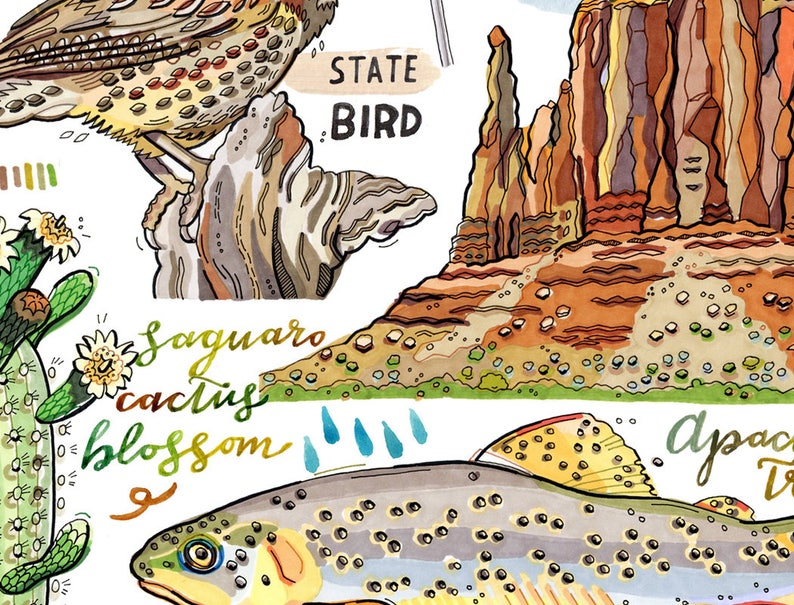 Arizona State Print, Illustration, State Symbols. image 5