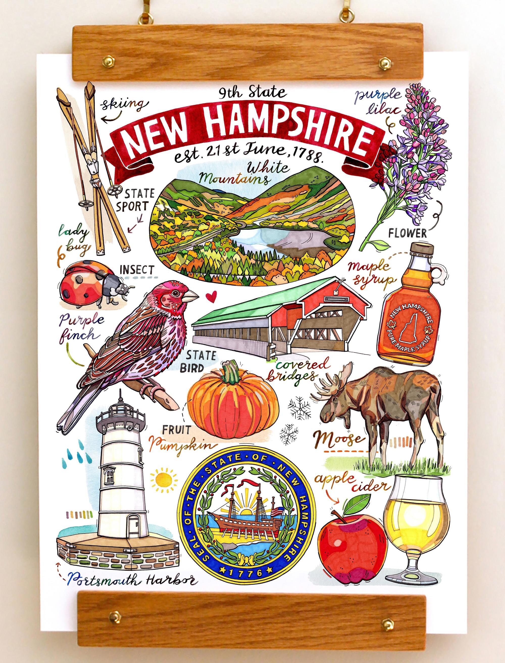 New Hampshire State Print. Illustration. The Granite State.