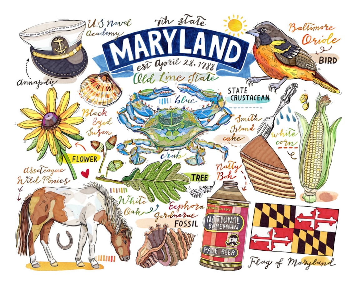 Maryland Print State Symbols Illustration Old Line State Etsy
