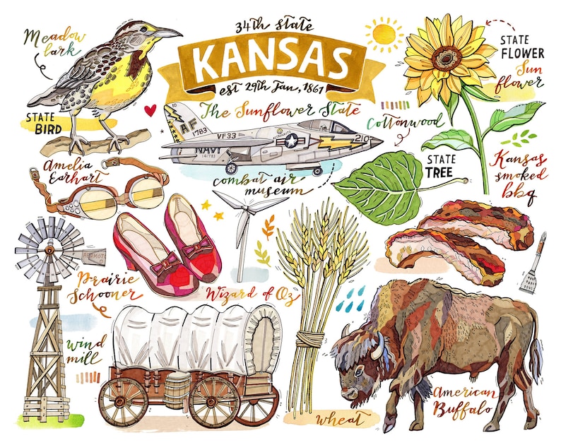 May include: A colorful illustration of Kansas state symbols, including the state bird, the meadow lark, the state flower, the sunflower, the state tree, the cottonwood, and the state animal, the American buffalo. The illustration also includes a prairie schooner, a windmill, a pair of red shoes, a vintage airplane, and wheat stalks.
