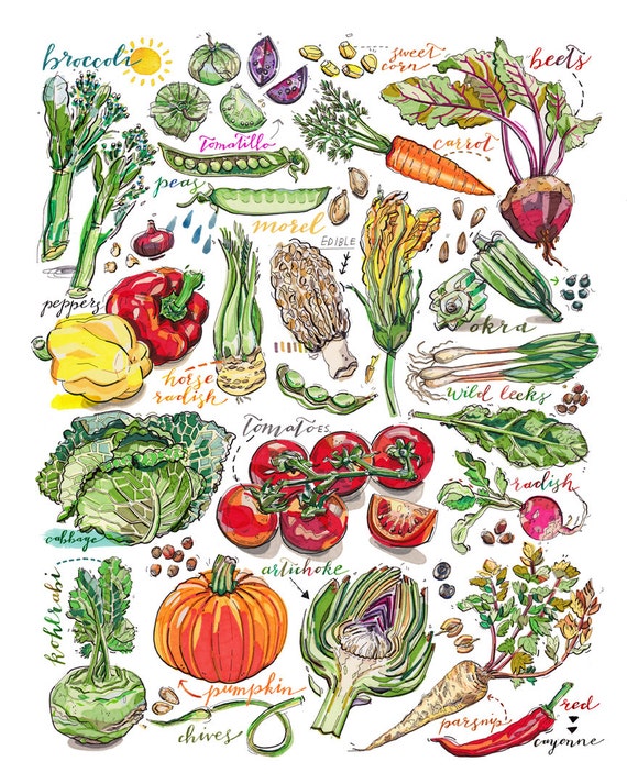 Vegetables Print. Garden. Kitchen Decor. Food Art. 