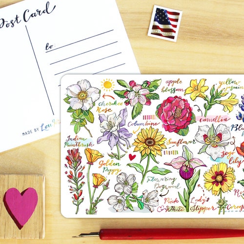 Flowers of North America Postcard. Etsy