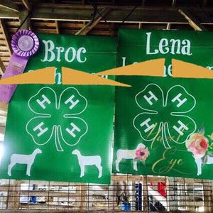 May include: Two green banners with white 4-H clover logos and the names "Broc" and "Lena" printed on them. The banners are hanging from a wooden structure. There are white lambs in the background.
