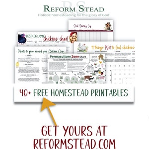 Puede incluir: Una colecci&oacute;n de gu&iacute;as imprimibles para la agricultura familiar, que incluye una tabla de pollos, una tabla de zonas de permacultura y un registro de inicio de semillas. La imagen presenta el texto "40+ FREE HOMESTEAD PRINTABLES" y "GET YOURS AT REFORMSTEAD.COM". El tema es la agricultura familiar hol&iacute;stica.