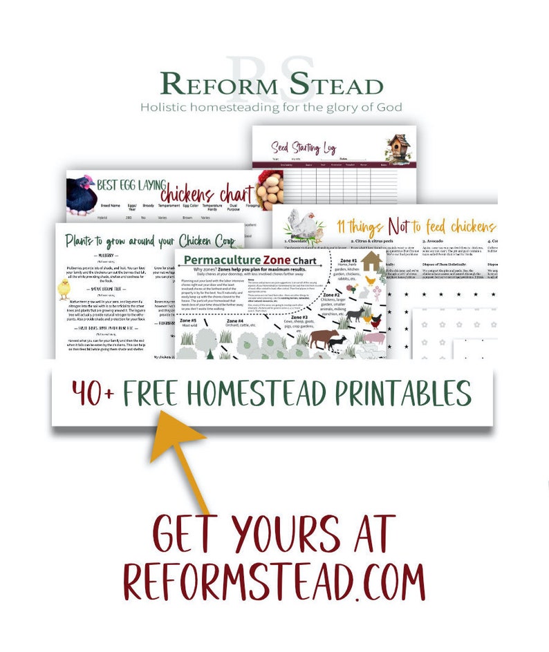Puede incluir: Una colecci&oacute;n de gu&iacute;as imprimibles para la agricultura familiar, que incluye una tabla de pollos, una tabla de zonas de permacultura y un registro de inicio de semillas. La imagen presenta el texto "40+ FREE HOMESTEAD PRINTABLES" y "GET YOURS AT REFORMSTEAD.COM". El tema es la agricultura familiar hol&iacute;stica.