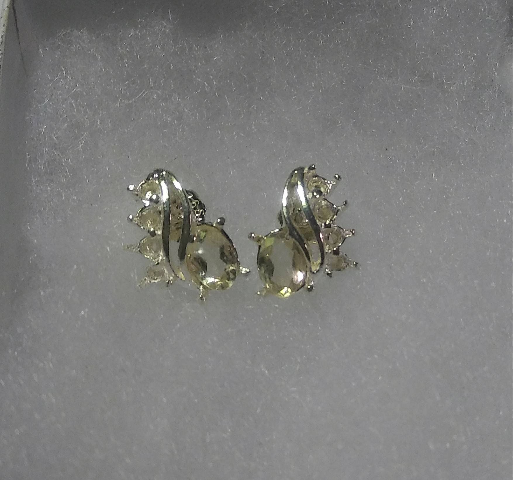 Natural Rare Scapolite(Tenebrecent) White Sapphire accented Sterling Silver Earrings - Thumbnail 3