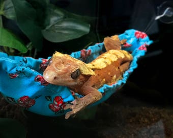 Gecko/Lizard Hammock *the original banana style gecko hammock :)*