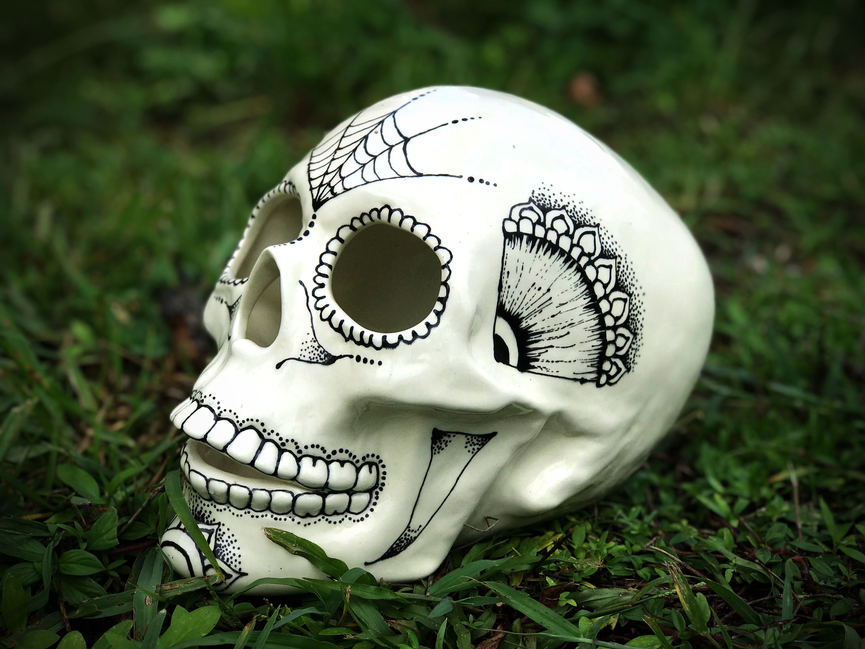 Large Skull Decoration Reptile Hide Etsy Large Skull Decoration Reptile Hide Etsy
