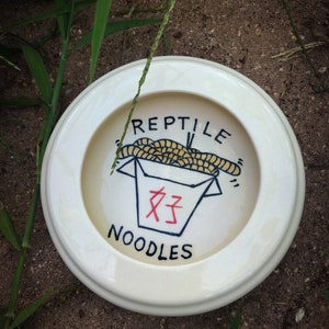 Fideos de reptiles con gusanos