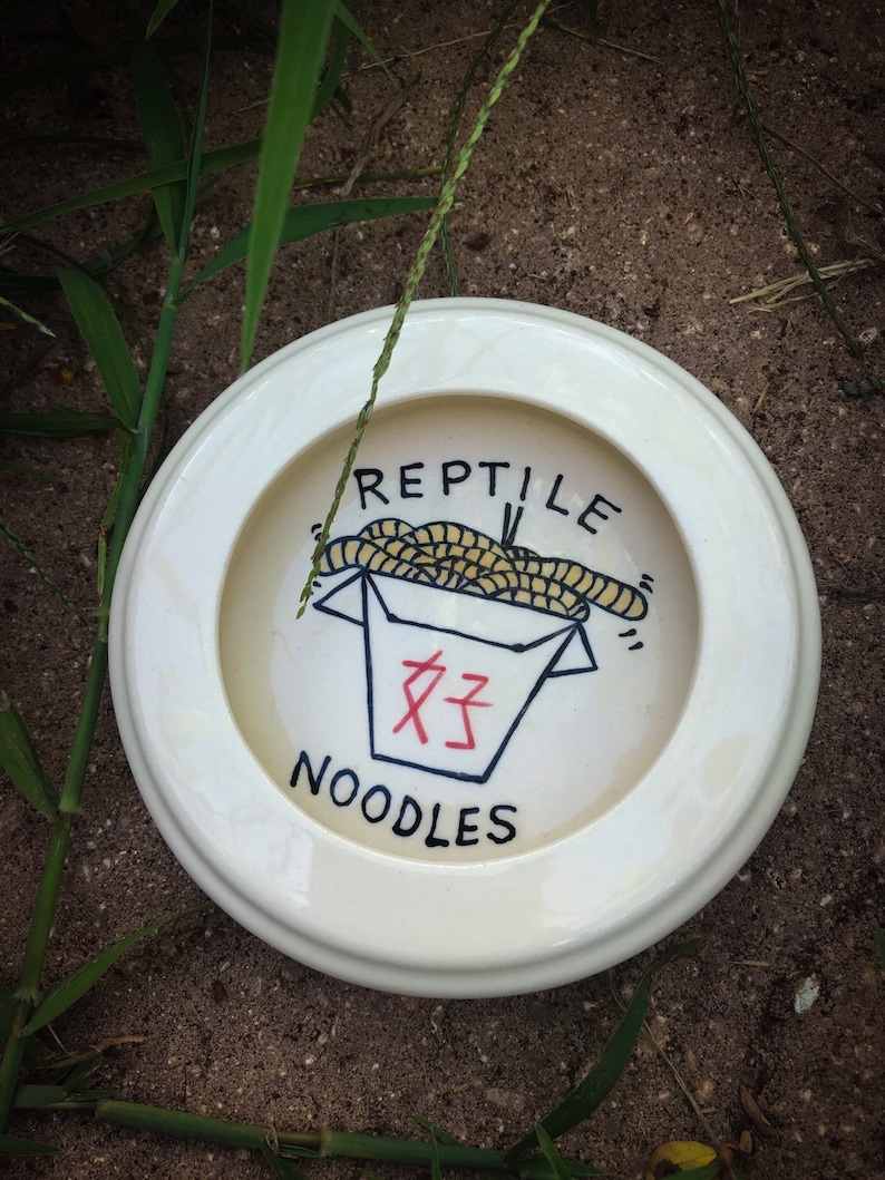 Reptile Noodles Worm dish
