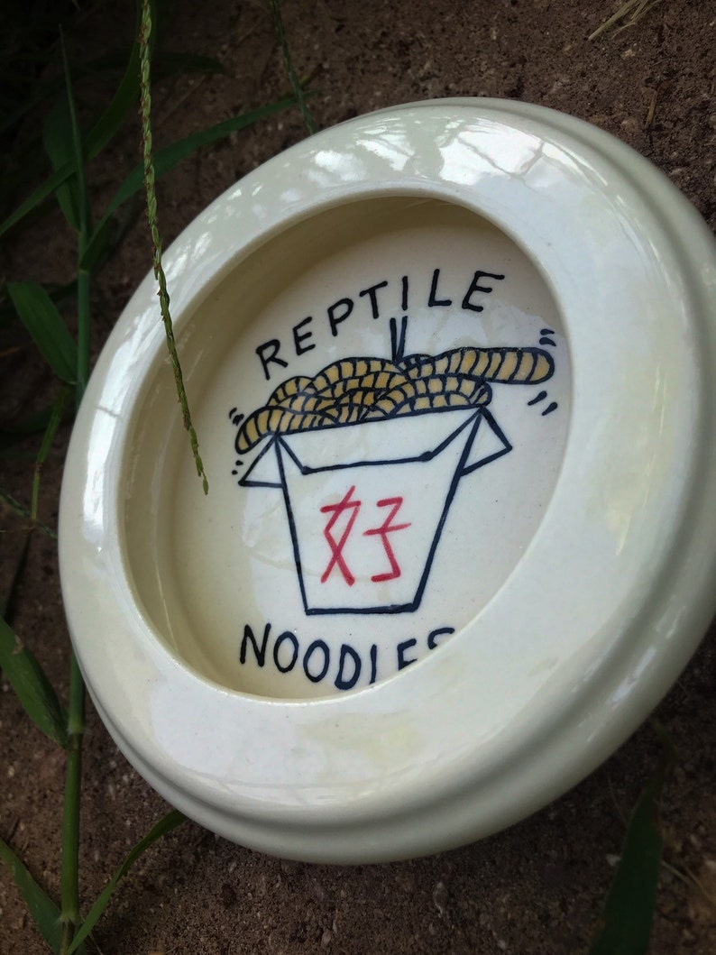 Reptile Noodles Worm dish