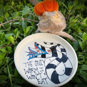 Halloween Reptile food dish “Sand worm”