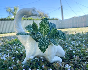 Indoor dinosaur planter