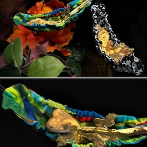 May include: A brown and tan crested gecko resting in a colorful hammock. The hammock is made of fabric and has a green, blue, yellow, and red striped pattern. The hammock is hanging from a black hook.