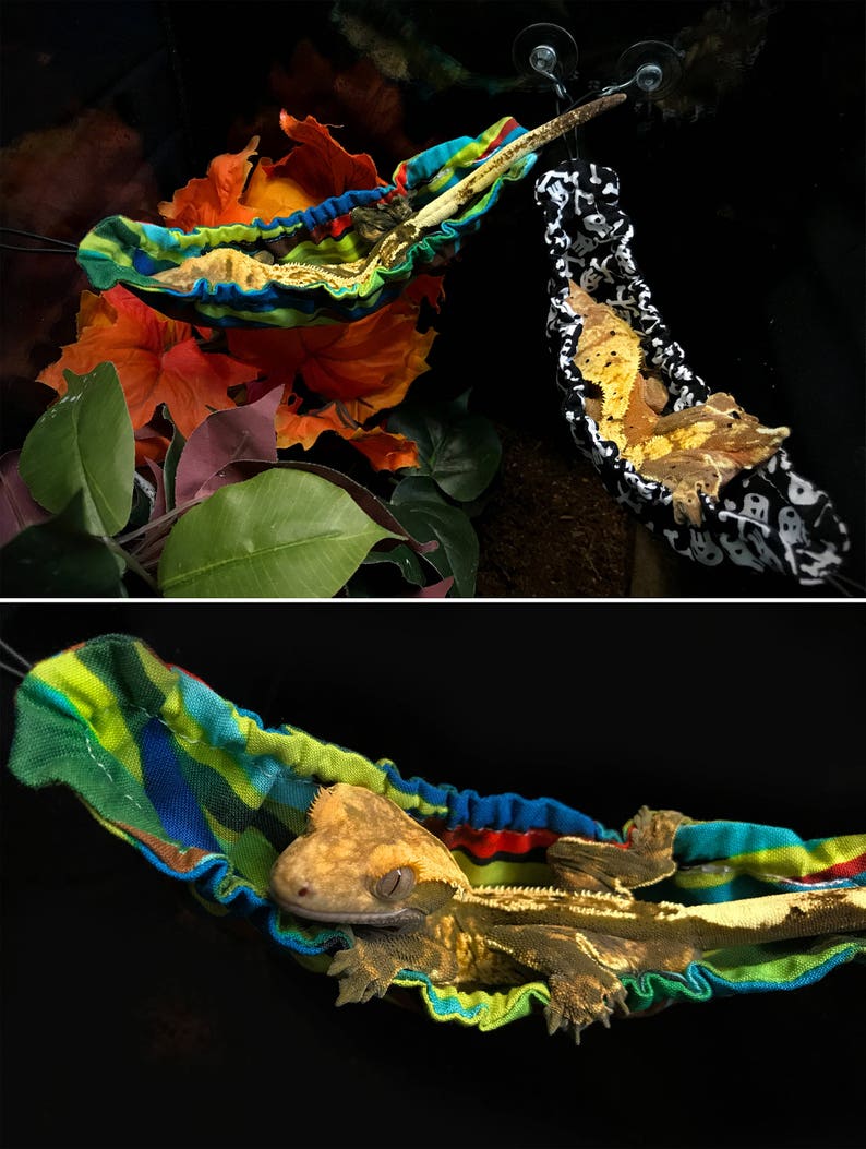 Gecko/Lizard Hammock Etsy