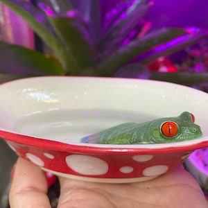 May include: A red and white polka dot ceramic dish with a green tree frog with red eyes floating in the water inside.