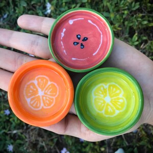 Fruit gecko dishes