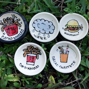 Small quirky gecko dishes