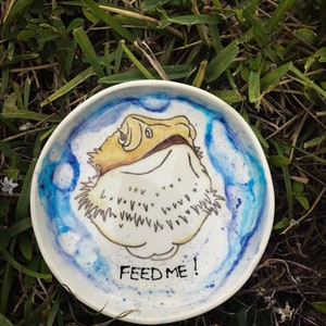 Beardie food dish &quot;feed me!&quot;