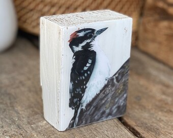 Downy woodpecker print on reclaimed wood. Bird Painting on Wood. Downy woodpecker art. Modern Farmhouse Decor. Rustic Decor. Bird Lover Gift