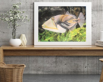 Trigger Fish Art Print. Realistic Trigger Fish Painting. Tropical Fish Decor. Beach House Decor. Saltwater Fish Painting. Fisherman Gift