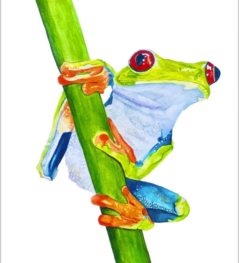 Tree Frog Watercolor Print on Wood Shelf Animal Art for Kids Room Rain Forest Decor Tree Frog Mantel Art Nursery Frog Art Frog Lover Gift 画像 8
