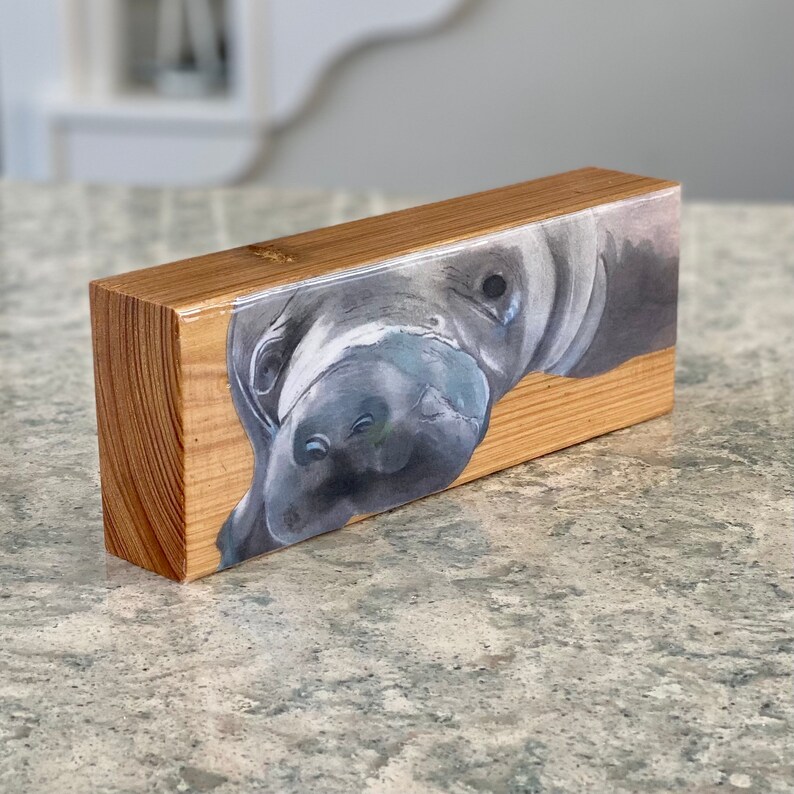 Manatee Art Print on Wood Manatee Painting Wood Manatee Shelf Decor Coastal Art Decor Beach Home Decoration Gift for Beach Lover Manatee