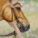 see more listings in the Wildlife Paintings section
