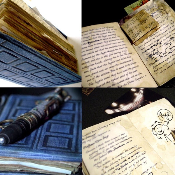 Doctor Who River Song Diary Prop Replica, volledig geïllustreerd