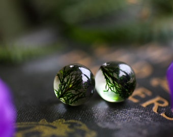 Forest moss earrings, real plant jewellery, green moss, gift for her, sterling silver stud earrings, resin jewellery, made in Ireland