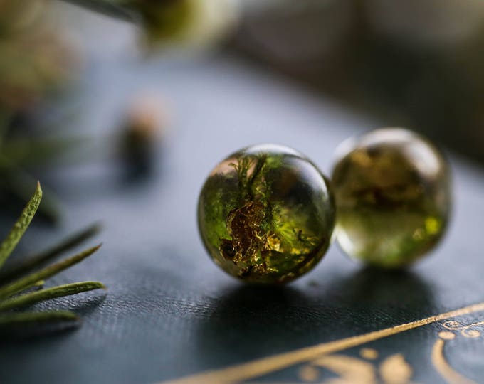 Moss Green Stud Earrings, Real Flower Jewellery, Sterling Silver Posts ...
