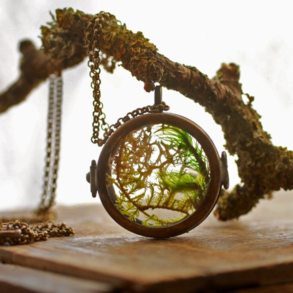 Real moss necklace , floating locket , living locket , mini terrarium jewellery , glass terrarium , pendant necklace , woodland  #B12