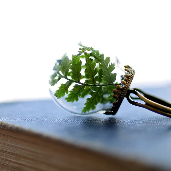 Miniature terrarium ring, wearable forest fern, wearable garden, real plant jewellery, botanical specimen, statement ring, Irish jewellery
