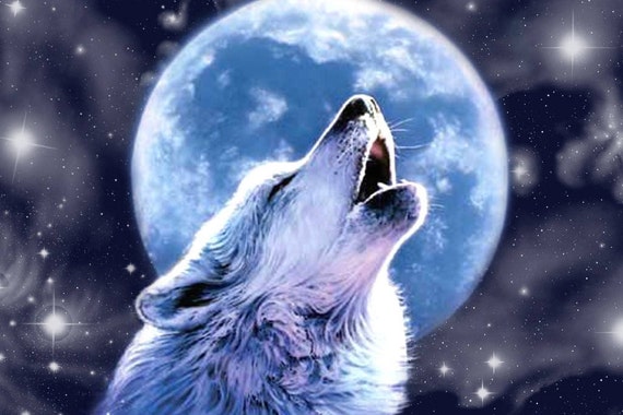 Wolf Howling At The Moon Cross Stitch Pattern Etsy