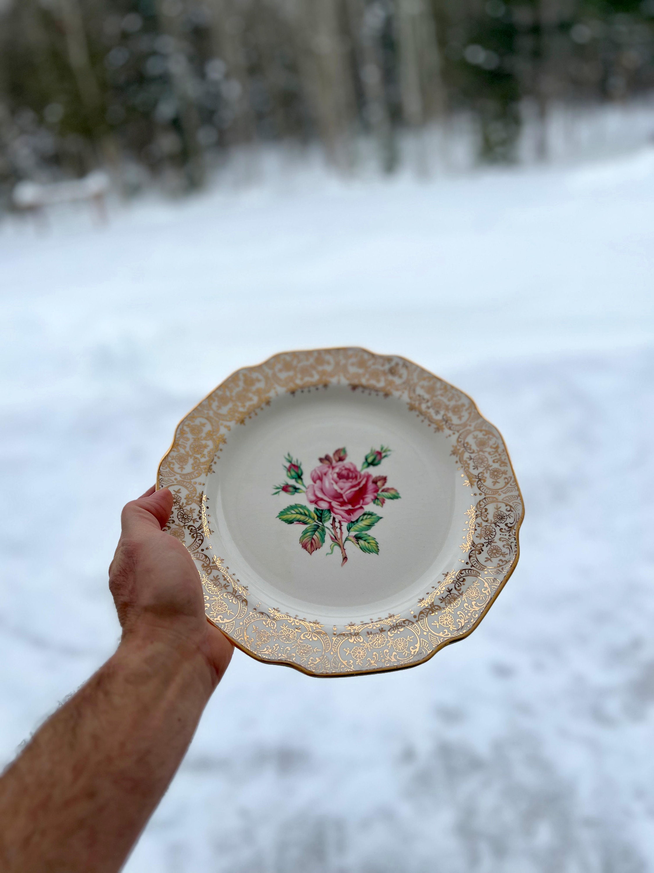 Briar Rose China - Etsy Canada