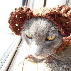 May include: A gray cat wearing a brown crocheted hat. The cat has yellow eyes and is looking towards the left. The hat is made of a thick yarn and has a textured appearance. The cat is sitting near a window.