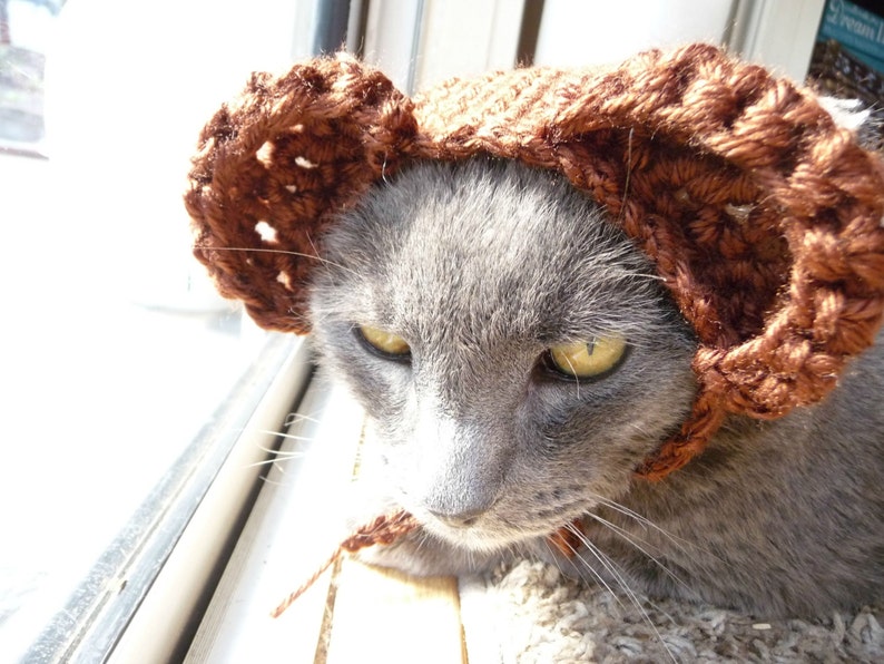 May include: A gray cat wearing a brown crocheted hat. The cat has yellow eyes and is looking towards the left. The hat is made of a thick yarn and has a textured appearance. The cat is sitting near a window.