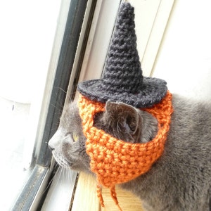 Op de afbeelding: Een grijze kat met een zwarte en oranje gehaakte heksenhoed. De kat kijkt uit een raam.